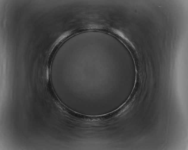 X0000086761221200705041441