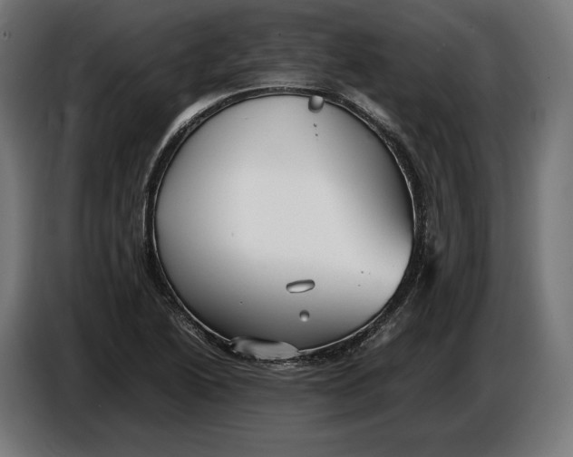 X0000086761222200705041441