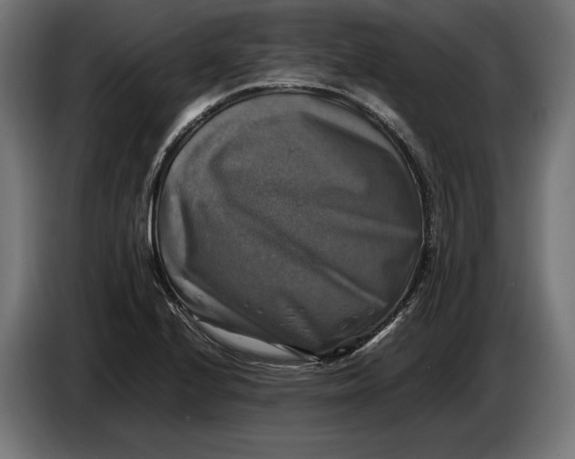 X0000086761224200705041441