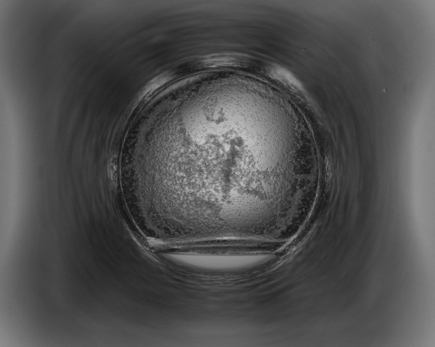 X0000086761225200705041441