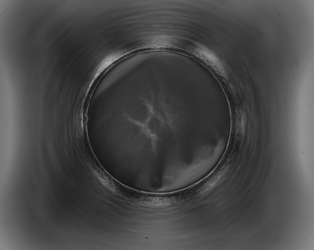 X0000086761226200705041441