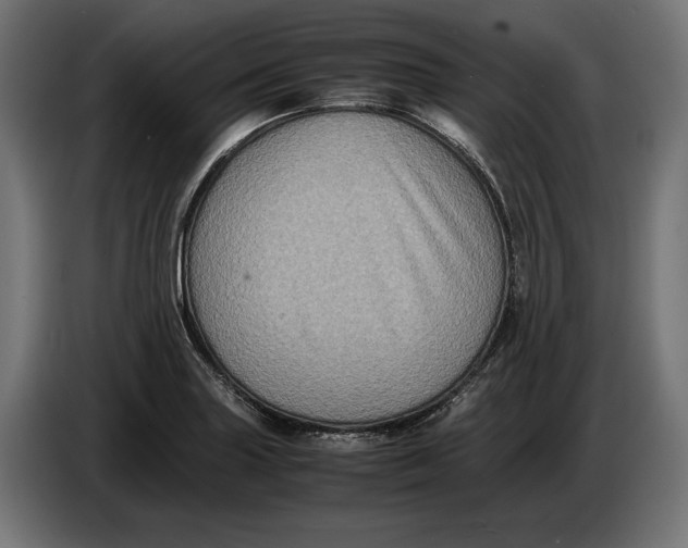 X0000086761227200705041441