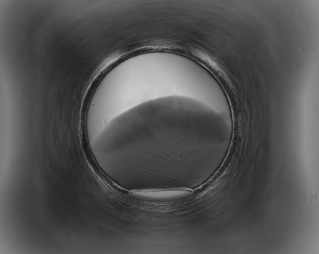 X0000086761229200705041441