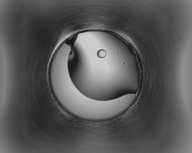 X0000086761230200705041441