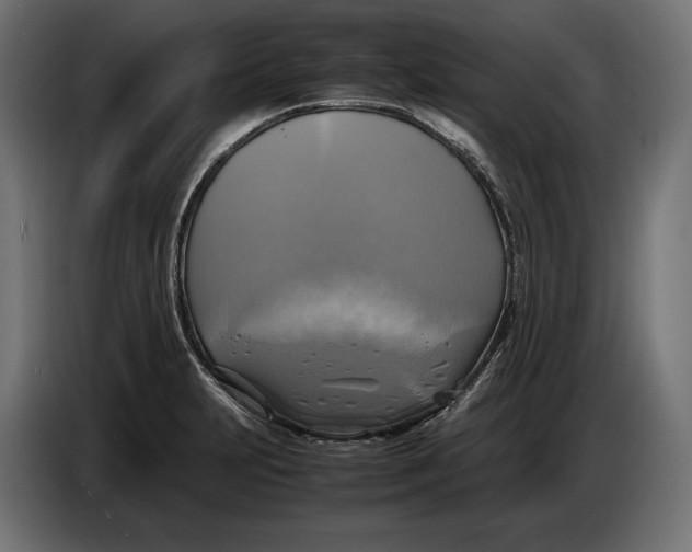 X0000086761231200705041441