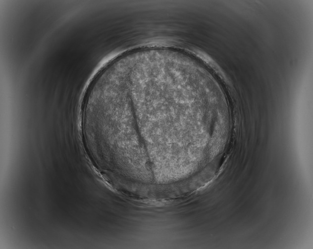 X0000086761232200705041441