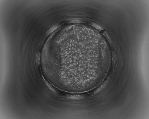 X0000086761233200705041441