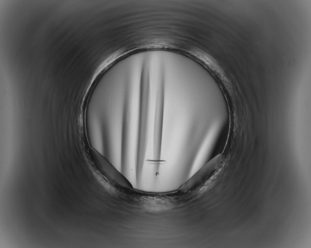 X0000086761234200705041441