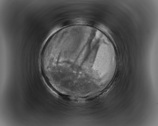 X0000086761235200705041442