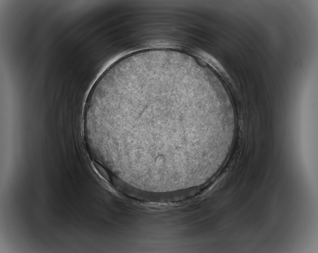 X0000086761236200705041442