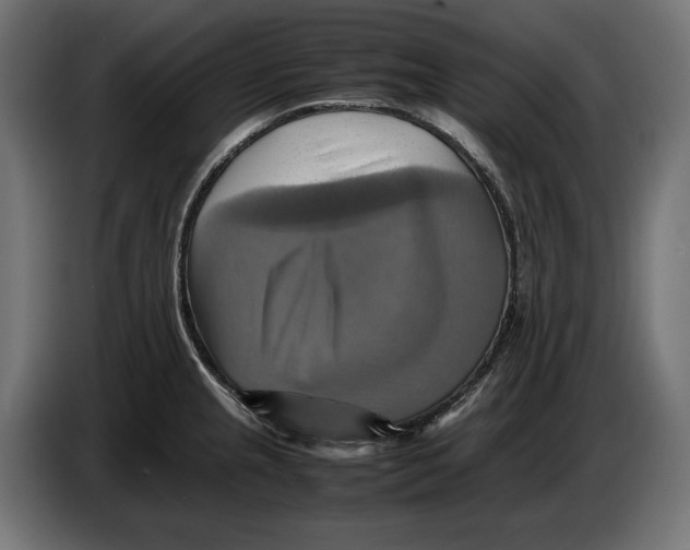 X0000086761237200705041442