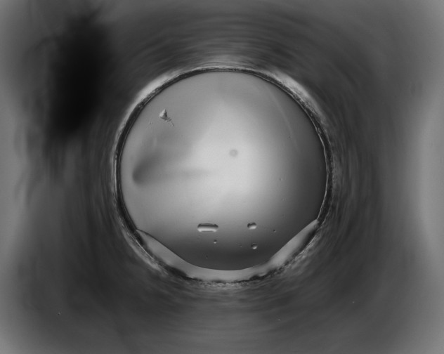 X0000086761238200705041442