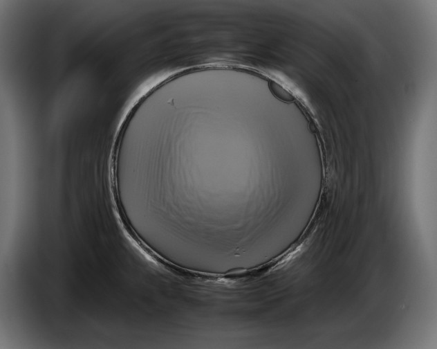 X0000086761239200705041442