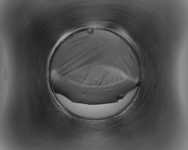 X0000086761240200705041442