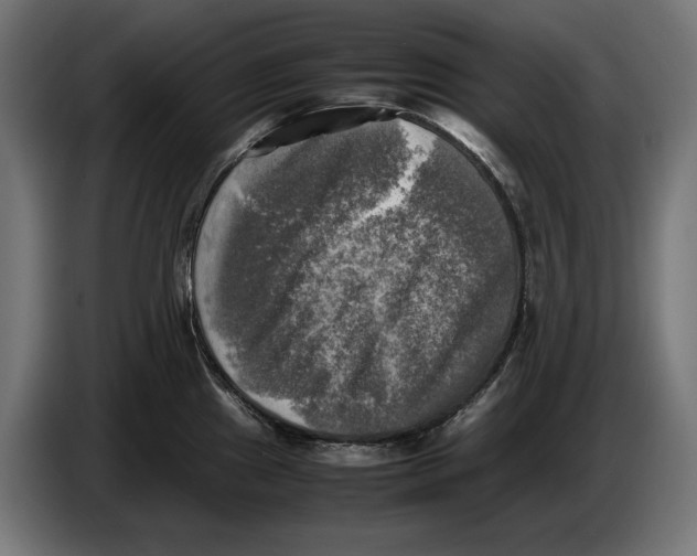 X0000086761241200705041442