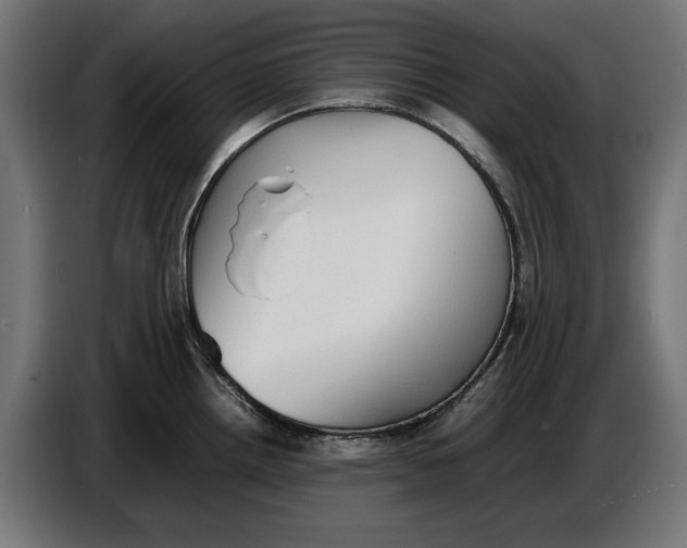 X0000086761242200705041442