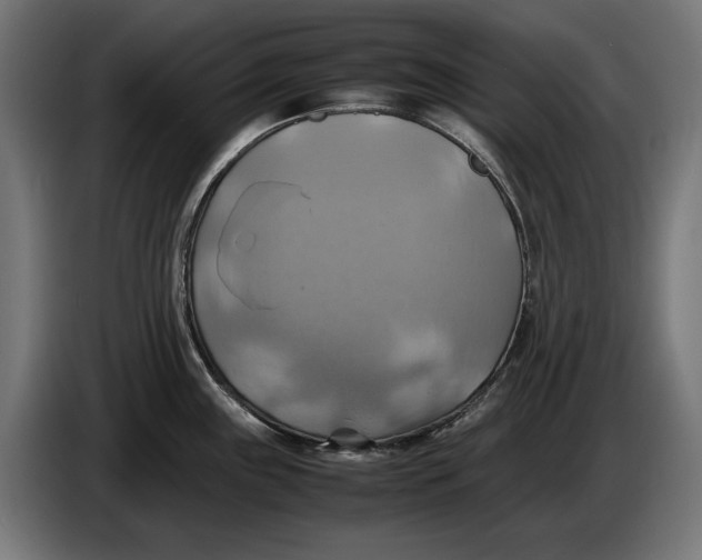 X0000086761243200705041442