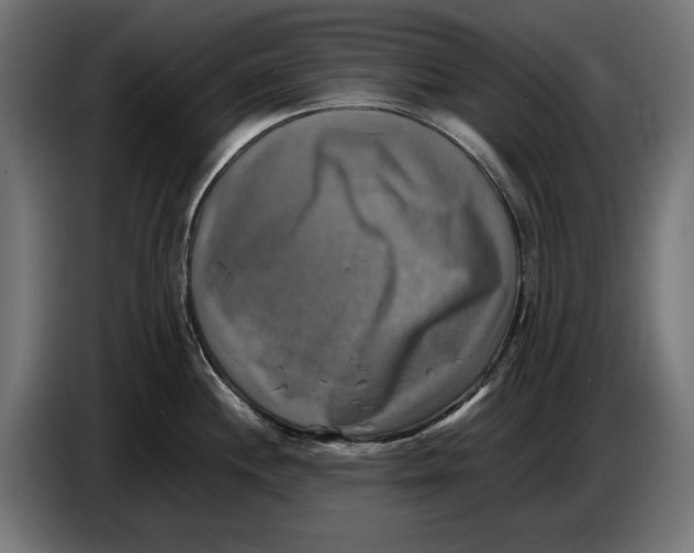 X0000086761244200705041442