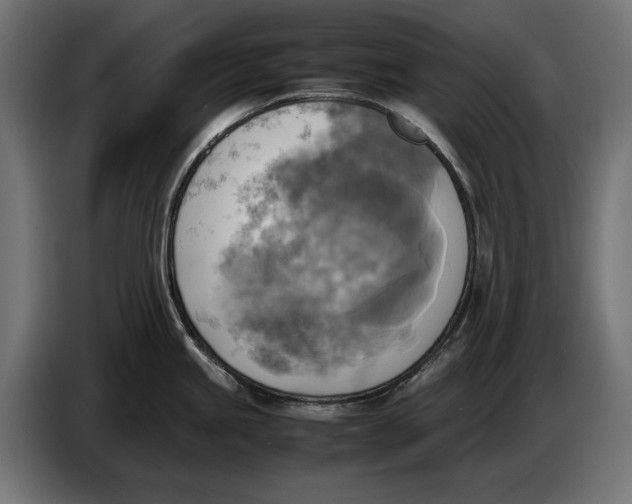 X0000086761245200705041442