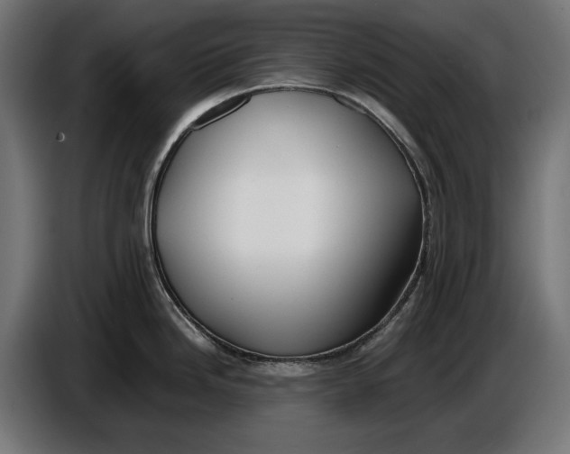 X0000086761246200705041442