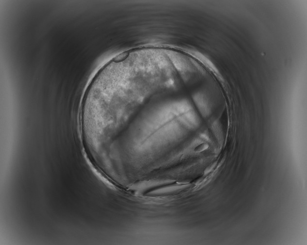 X0000086761247200705041442