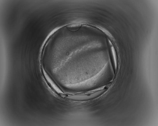 X0000086761248200705041442