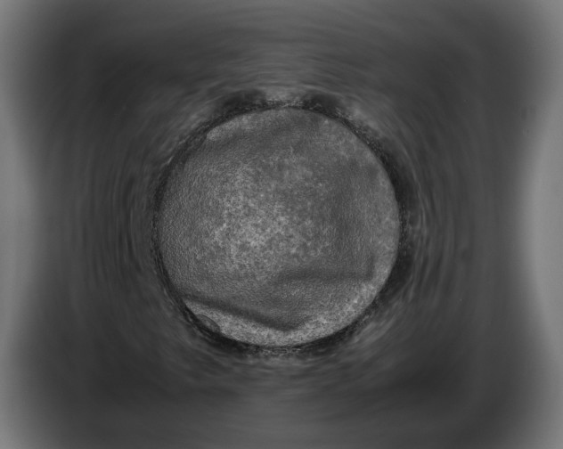 X0000086761249200705041441