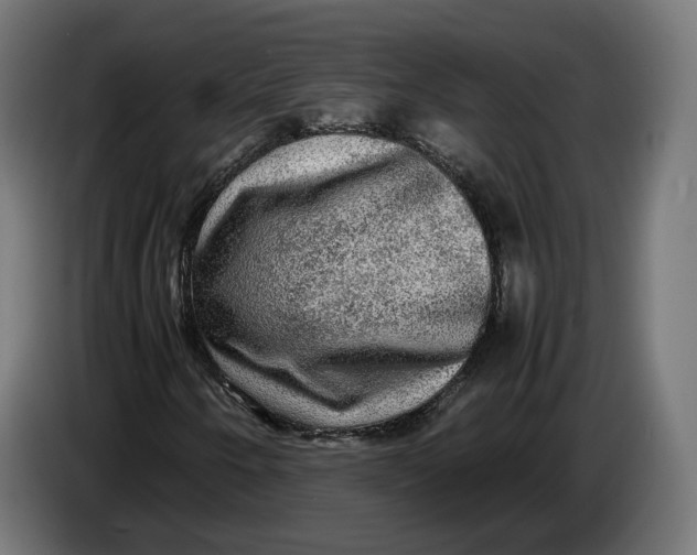 X0000086761250200705041441