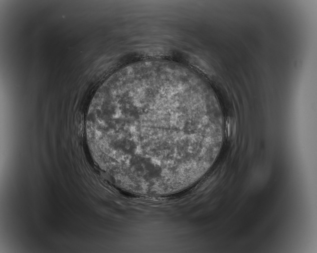 X0000086761251200705041441