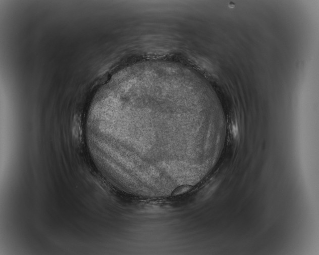 X0000086761252200705041441