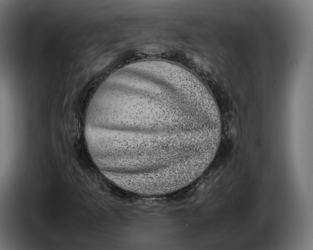 X0000086761253200705041441