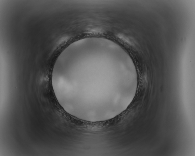 X0000086761254200705041441