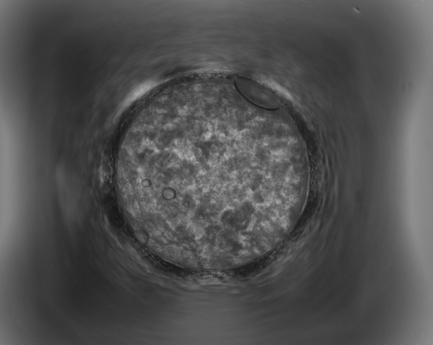 X0000086761255200705041441