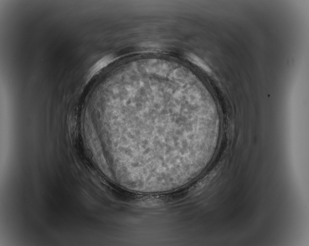 X0000086761259200705041441