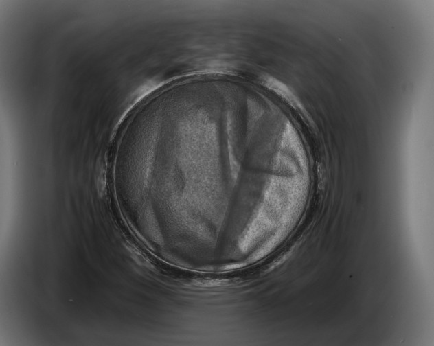 X0000086761260200705041441