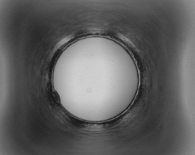 X0000086761261200705041441