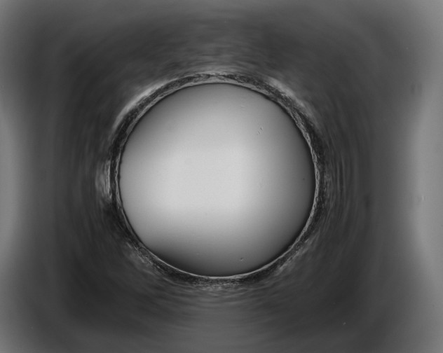 X0000086761262200705041441