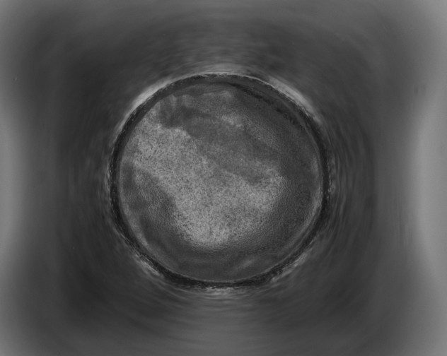 X0000086761264200705041441