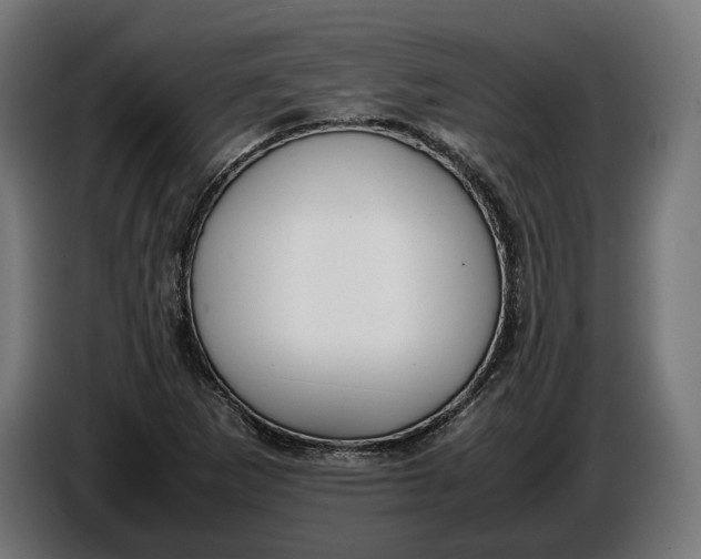 X0000086761265200705041441