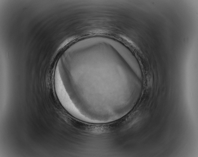 X0000086761266200705041441