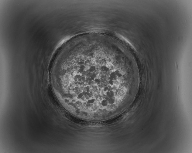 X0000086761267200705041441