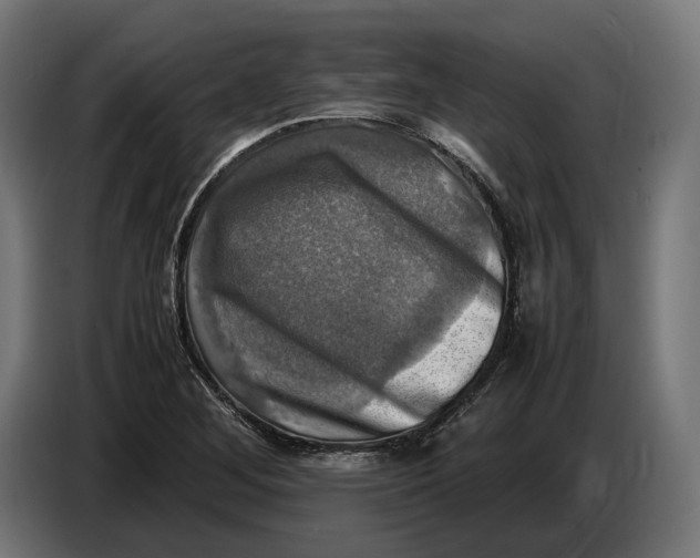 X0000086761268200705041441