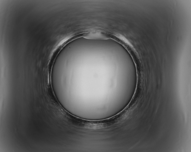 X0000086761269200705041441