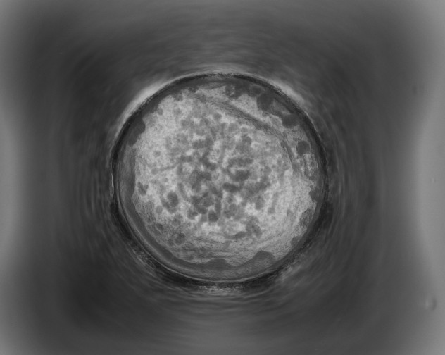 X0000086761271200705041441