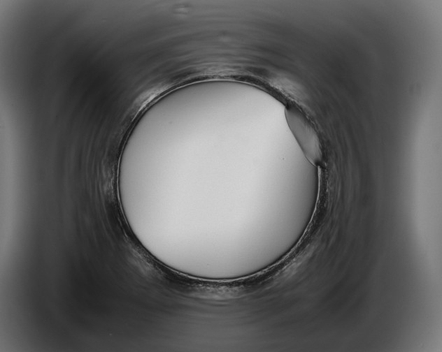 X0000086761273200705041441