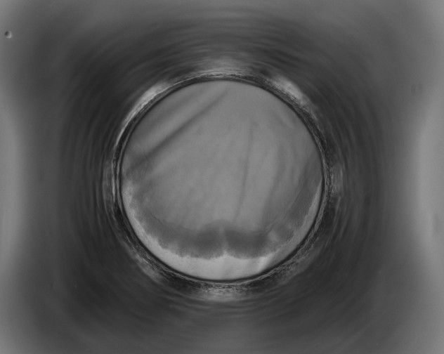 X0000086761274200705041441