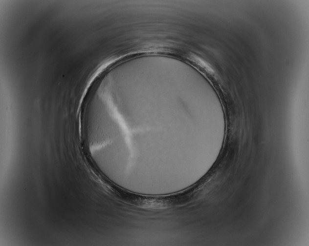 X0000086761275200705041441