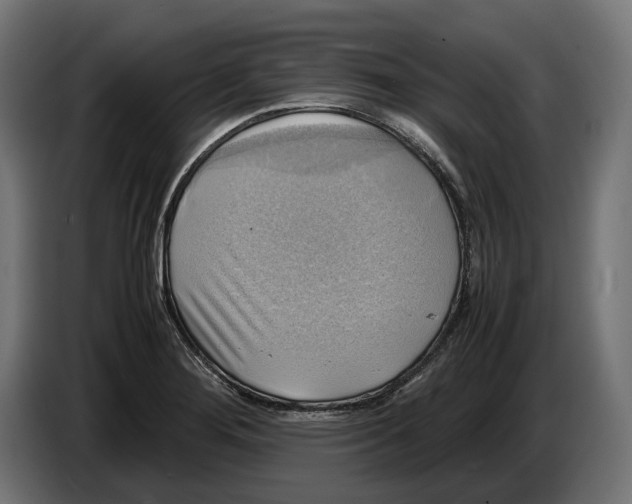 X0000086761276200705041441