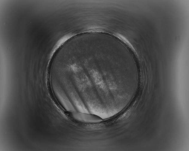 X0000086761277200705041441