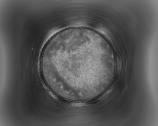 X0000086761278200705041441